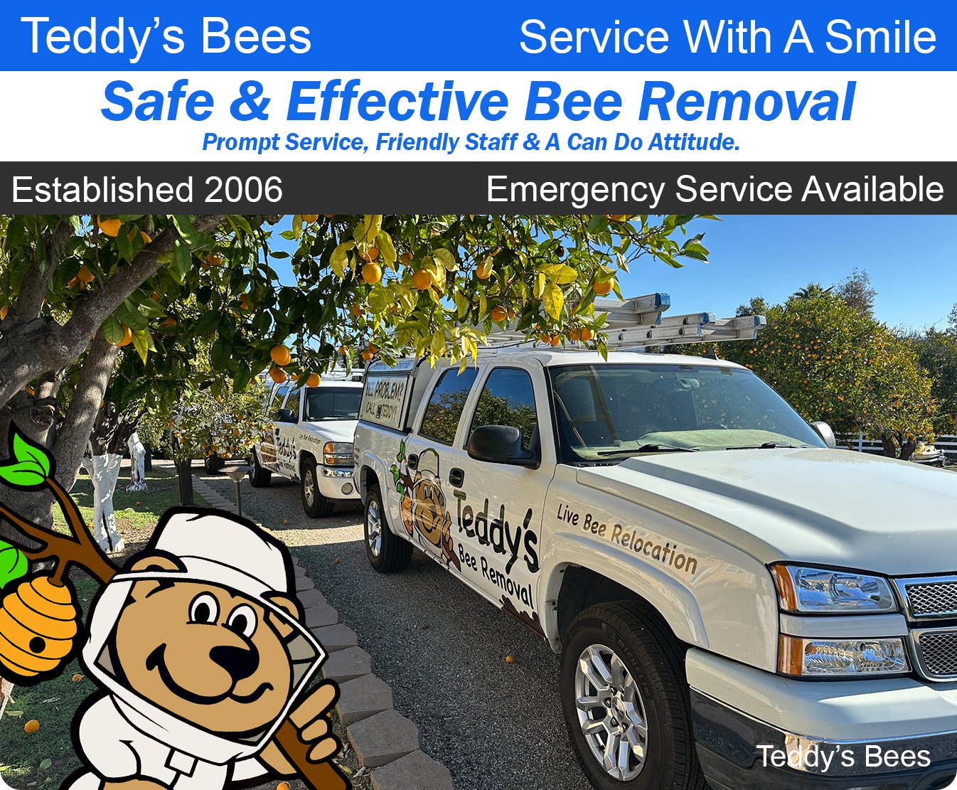 picture of teddys bee removal trucks in front of a customers home.